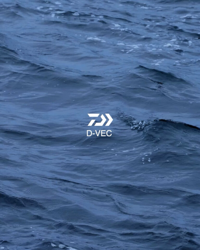 D-VEC_25FW_COLLECTION